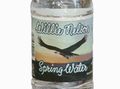 Spring_Water002.jpg