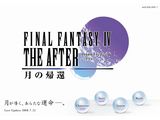 ff4after_100mil001.jpg